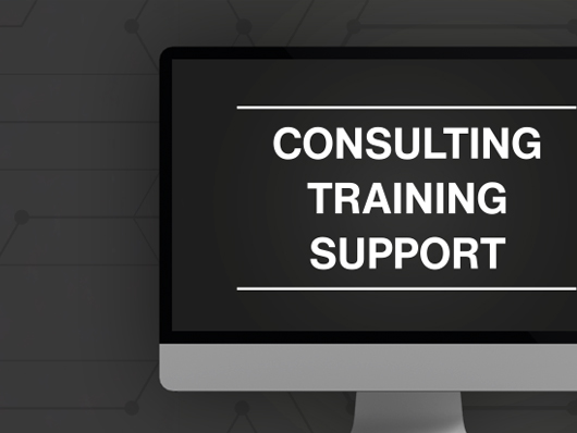 fescreen-sim-consulting-training-support